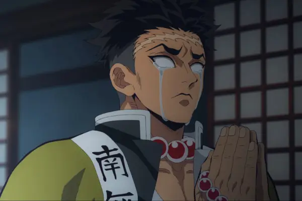 Demon Slayer - To The Hashira Training arc