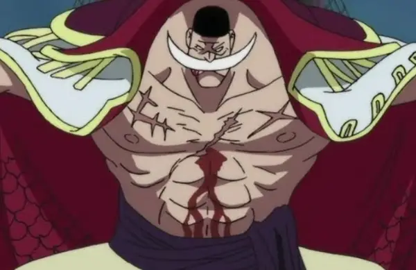 Whitebeard One piece