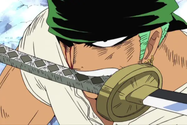 Zoro in One Piece