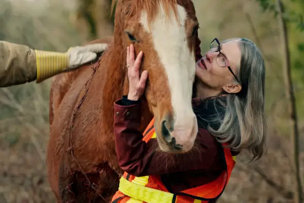 Gdzie kręcono Virgin River? Wszystkie lokalizacje seriali Netflix