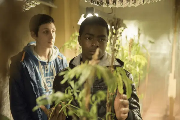 Top Boy kopsavilkums: Kas notika Summerhouse un Netflix atdzimšana