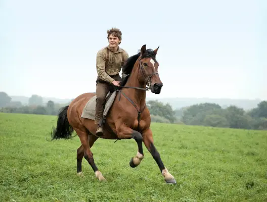 Gwiazda filmu Silent Hill, Jeremy Irvine, wyjaśniając rolę swojego bohatera, nazywa film dzikim i chaotycznym