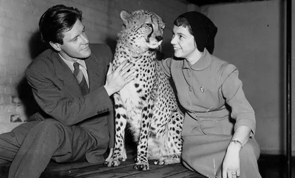 135784.183235e1-a5a5-47ad-a8eb-94e9ea7feaa0