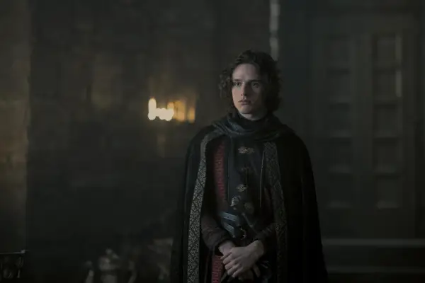 Harry Collett stands as Prince Jacaerys Velaryon in House of the Dragon season 2.