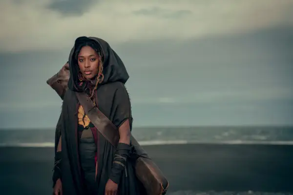 The Witcher: Blood Origin.