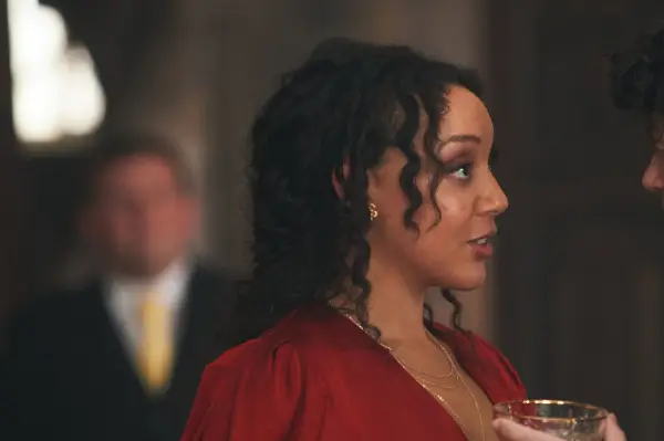 A Discovery of Witches