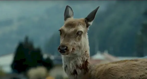 zombie-deer-from-train-to-busan