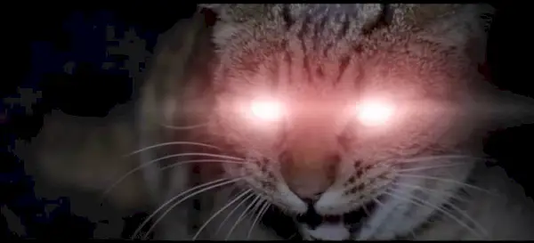 zombie-cats-from-mars