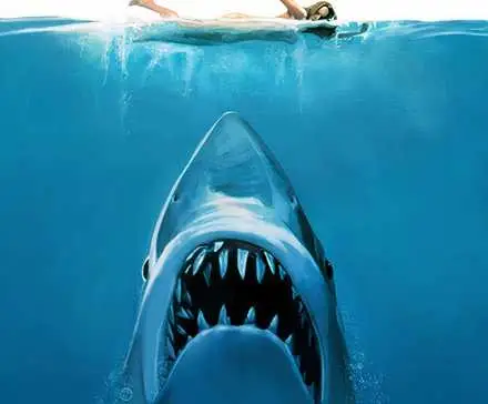 Fa 50 anys, un gran tauró blanc de la vida real va reescriure inesperadament el final de Jaws