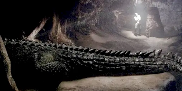 A crocodile stalking in a tunnel
