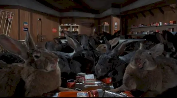 Mutant killer rabbits in 
