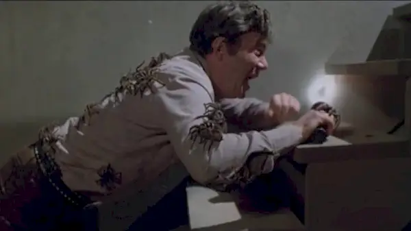 Kingdom of the Spiders