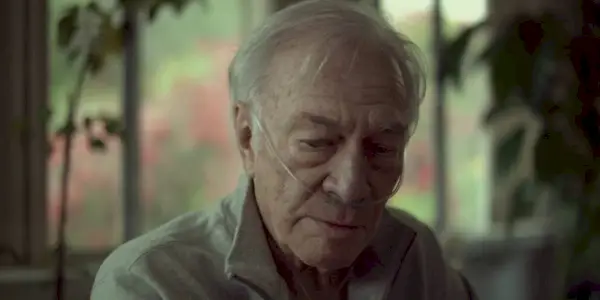 Der beste Hund in einem Film ist nicht Toto, Lassie oder Rin Tin Tin