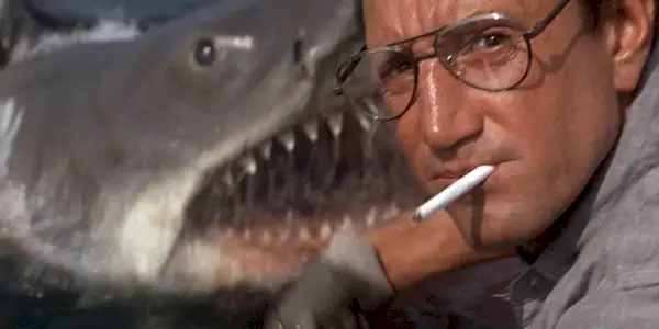 The shark appears as Chief Martin Brody throws chum into the water in Jaws.