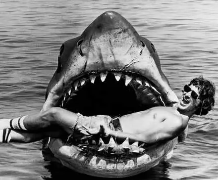 L'escriptor de Jaws va tenir la seva pròpia trobada amb un gran tauró blanc estranyament semblant a una escena de la seva obra mestra de terror