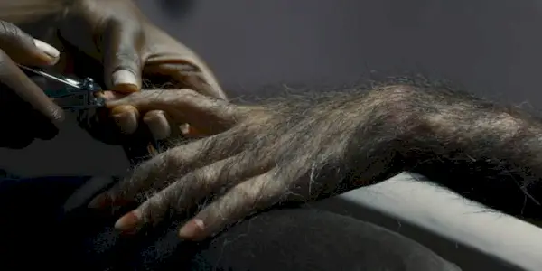 A hand cutting a hairy hand