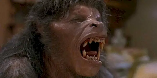 American Werewolf in London Transformation Scene