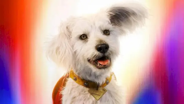 10 lekcji, których DCU musi się nauczyć z najlepszych seriali animowanych DC