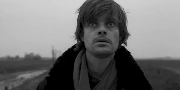 Il miglior film di ogni anno degli anni 2000, classificato