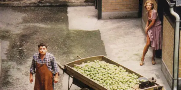 The Merchant of Four Seasons 1972