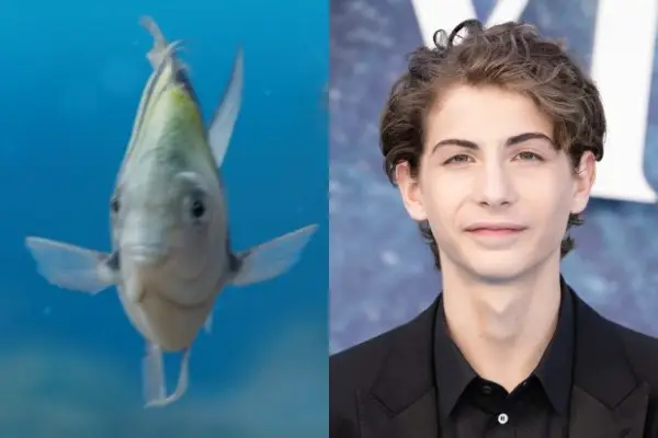Jacob Tremblay press image alongside a photo of Flounder
