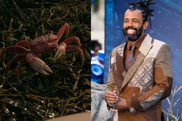 A photo of Daveed Diggs alongside a photo of Sebastian