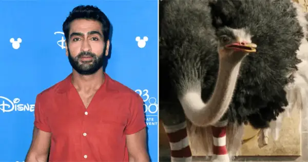 Screen Shot 2020-01-17 at 13.16.42