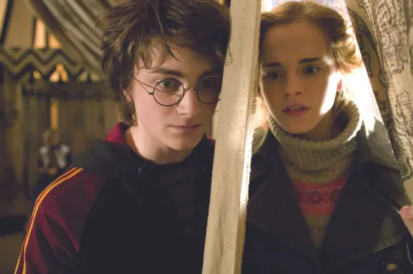 Harry and Hermione Goblet of Fire