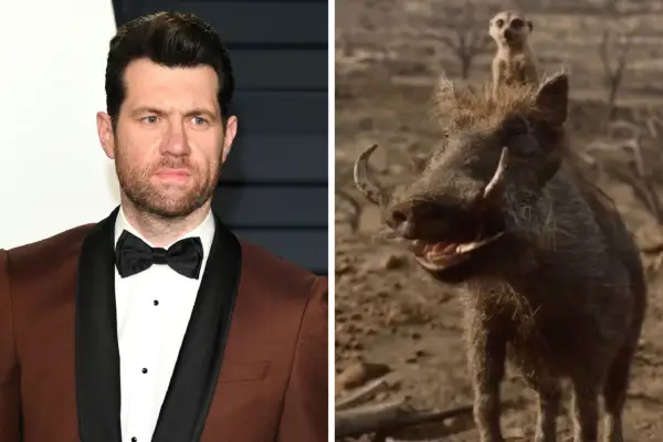 Billy Eichner plays Timon