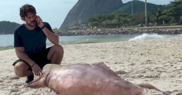 invisible city man with creature on beach