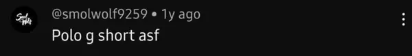 A user called Polo G short (sybdrew/YouTube)