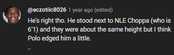 A user asserts that he thinks Polo G and NLE Choppa are the same height (sybdrew/YouTube)