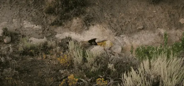 Yellowstone Staffel 3 Folge 6: Wer war das vermisste Mädchen Sila, was ist wirklich mit ihr passiert?