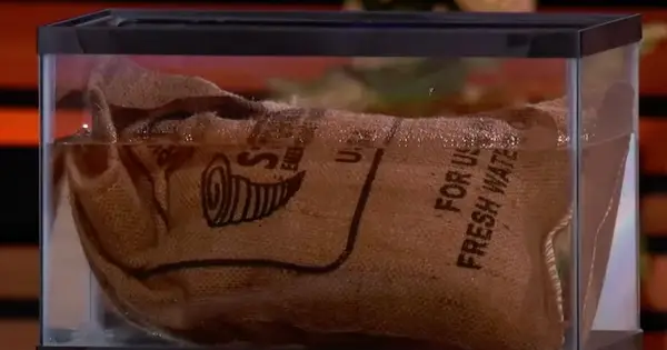 StormBags on Shark Tank 