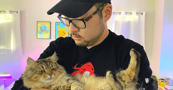 ¿Quién es Peter Park? Cat Peeepo de Twitch Streamer da positivo para el coronavirus felino: 'La peor sensación de impotencia
