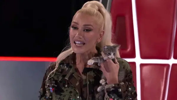 Gwen Stefani não voltará a 'The Voice' nesta temporada - e o motivo pode surpreendê -lo