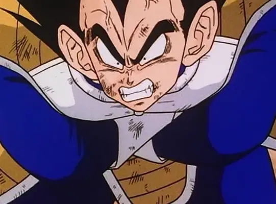 (Toei Animation Co., LTD.)