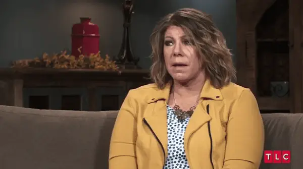 'Schwester Wives' Staffel 17 Vollbesetzte Liste: Treffen Sie die polygamistische Familie Brown Familie in der TLC -Hit -Show