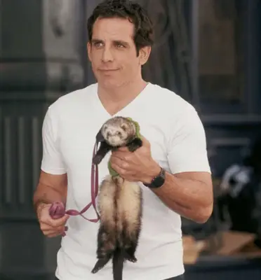 Wie groß ist Ben Stiller? Der Schauspieler enthüllte, dass er Schuhaufzüge braucht, um den Höhen seiner Co-Stars zu entsprechen