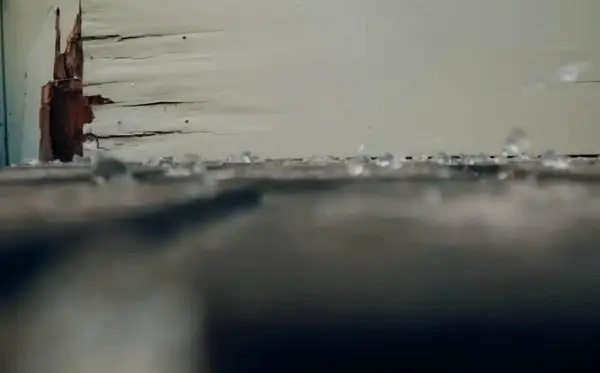 Dateien der Unerklärlichen: Was hat Oakville -Blobs verursacht? Netflix Docuseries untersucht die mysteriösen gallertartigen Blobs