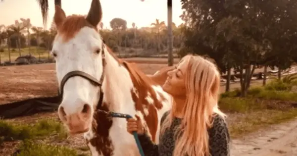 Quem está namorando Elaine Culotti? A Vida Amor Secreta de Star Bilionário 'Undercover' Post Divorce com Gary Culotti