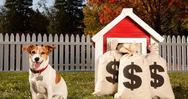 Rosijas O'Donnellas meita Chelsea apgalvo, ka viņas vīrs nozaga savu naudu un suni