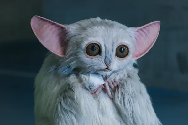 The Meep, as voiced by Miriam Margolyes, in Doctor Who