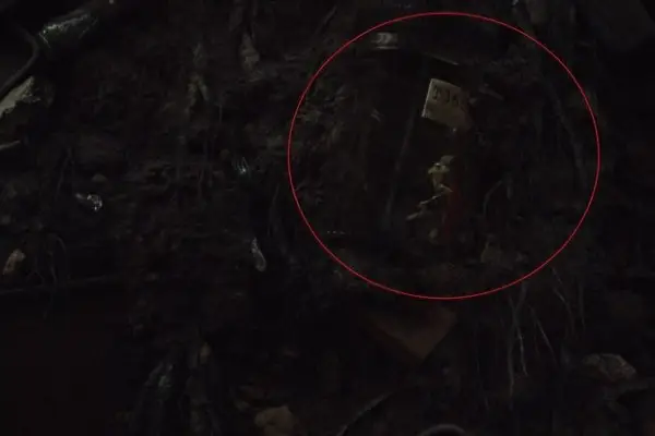 Frog Thor (aka Throg) in Loki episode 5