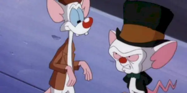 The Brain angrily looking at the cofused Pinky in Pinky and the Brain.
