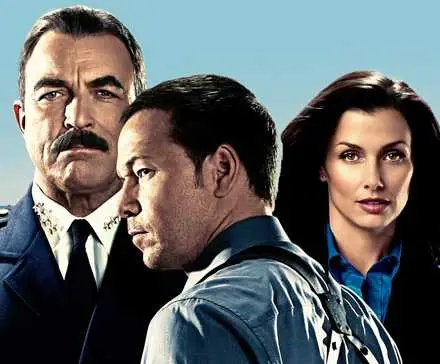 Donnie Wahlberg and Tom Selleck and Bridget Moynahan in a Blue Bloods custom image