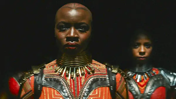 „Black Panther“-Fans haben gute und schlechte Nachrichten für die MCU-Zukunft dieses Stars erhalten