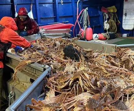 Deadliest Catch säsong 21 skjuter hänsynslöst besättningar till randen när någon hoppar skepp